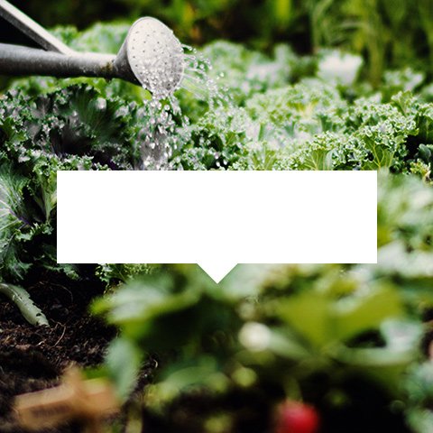 Gartenarbeit